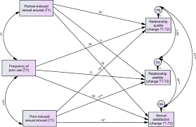 Porn or Partner Arousal? When It Comes to Romantic Relationships, Not All  Sexual Arousal Is Equal: A Prospective Study | Archives of Sexual Behavior