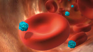 Share on facebookshare on twittershare on linkedin. Cat Timp RÄƒman Drogurile In Corp DupÄƒ Ce Le Iei