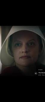 After seeing all of these photos…. I have so many questions!!!