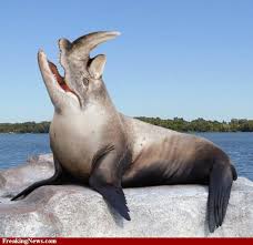 Hybrid Animals Pictures Freaking News Photoshopped Animals Animals Animal Mashups