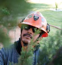 WORKING TOGETHER TO BUILD A SUSTAINABLE FUTURE