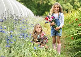 Valves must be protected by a cap or other suitable means to prevent inadvertent when sending flowers, arrange in layers separated by tissue paper and use waterproof wrapping if including damp moss or phials of water. Welcome Cornish Blooms