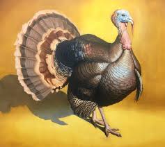 Turkey is at the northeast end of the mediterranean sea in southeast europe and history. All We Could Do Was Run The Strange Story Of Gerald The Turkey Who Terrorized A City California The Guardian