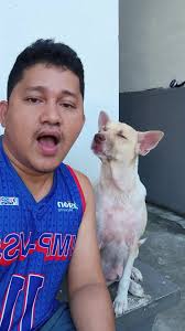 Theo: The Singing Dog That Steals Hearts