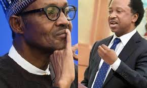 Pictures, slight and sound of northern nigeria. Shehu Sani Reacts To Buhari S War Threat Statement Global Times Nigeria