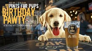 Best lab rescues in the united kingdom. Pin On South Florida
