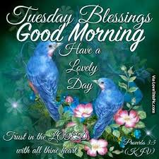 Good morning images & quotes that will help inspire and boost your morning in the best way possible! Daily Blessing Quotes Tuesday 2017 2 Tuesday Blessings A Christian Pilgrimage Page 2 Dogtrainingobedienceschool Com