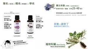 真正薰衣草難道還有假的薰衣草嗎 俗名學名傻傻分不清 還有精油萃取方式也會有成分差異性 我的精油化學學習筆記