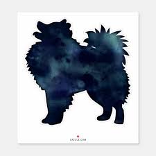 Black American Eskimo Dog Price American Eskimo Eskimo Eskie Italian Volpino Volpino Volpino Italiano Japanese Spitz Italian Spitz Florentine Spitz Spitz Keeshond Smiling Dutchman In 2020