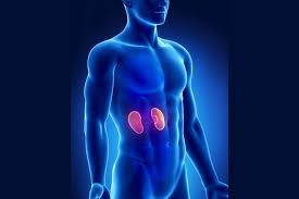 Kidney Cancer Facts Symptoms Diagnosis Treatment Gleneagles Hospital Singapore