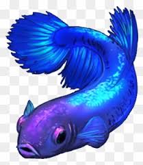 Female Betta Fish By Shivali Lorekeeper On Deviantart Betta Fish Clip Art Free Transparent Png Clipart Images Download