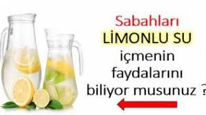 Sabah Icilen Limonlu Suyun Vucuda Faydalari Limonlu Su Saglikli Yasam Saglikli