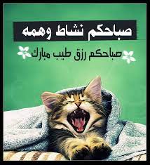 صباحكم نشاط وهمه صباحكم رزق طيب مبارك movie posters poster movies