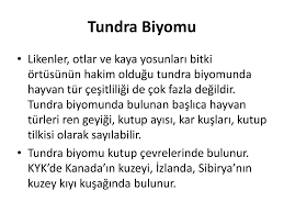 1888'de hermann wagner ve emil von sydow, şu anda biyom olarak kabul edilen tundra ve çöl gibi on bitki türünü tanıdı. Ekosistem Ve Madde Dongusu Ppt Indir
