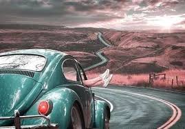 Life Is A Journey Not A Destination | Don't Settle Down Here