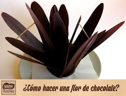 Como Hacer Una Flor De Chocolate Flores De Chocolate Recetas Como Hacer Flores