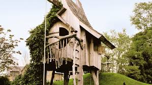 Personally, i would love to have an office in a tree like this. 12 Amazing Tree Houses Around The World