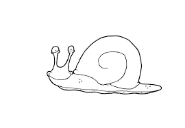 Malvorlage Schnecke Kostenlose Ausmalbilder Zum Ausdrucken