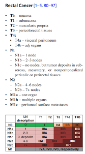 Figo stage is based on the international federation of gynecology and obstetrics system. Nicholas Zaorsky Md Ms On Twitter The Ajccancer Anal Cancer Staging Changed From 7th To 8th Edition Rectal Cancer Staging Mostly Unchanged Chapter From Leilatchelebi Https T Co Rwrfem2rvx