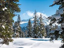 Gerelateerde afbeeldingen van istock meer. Wintersport In Skigebied Zillertal In Oostenrijk Inclusief Video