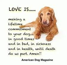 Reynolds tobacco company snuffed him out. Pin By Shanna Van Leuven On Unconditional Love Dogs Dog Quotes American Dog