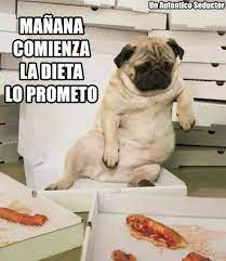 Manana Pugs Divertidos Chistes Graciosos De Animales Memes Divertidos Sobre Perros