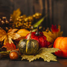 Happy Thanksgiving