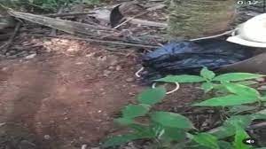 2,673 likes · 7 talking about this. Buscas Por Lazaro Barbosa Autor Da Chacina No Df Chegam Ao Nono Dia Dia Online