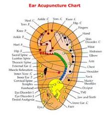 26 Best Ear Reflexology Images Ear Reflexology