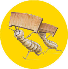 Above all, if you think you might be dealing with termites, be sure to contact a professional home pest control company. Mosquitoes Pest Control Service And Termites Pest Control Service Service Provider Pecopp Pest Control Services Mumbai