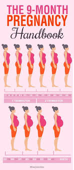 Pin On Pregnancy Health