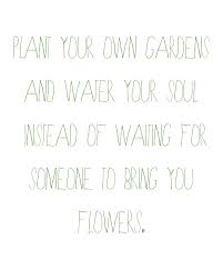 Plant your own garden quote. Transparent Quotes Plant Your Own Gardens And Water Your Soul