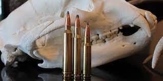 In my thinking the 308 became more popular with the military changing from the 30/06 to 308 and the avaiability of match ammo and brass in 308 from the military. 308 Vs 30 06 Vs 300 Win Mag Which Should You Hunt With In 2021 Big Game Hunting Blog