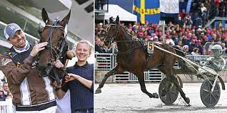 Elitloppet 2020 solvalla final propulsion. Propulsion Klar For Elitloppet Pa Solvalla Aftonbladet