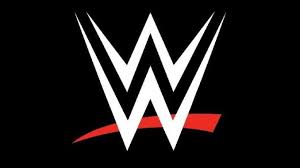 WWE's WrestlePalooza: Cena vs. Lesnar & Rhodes Returns?! - Imagen principal del artículo