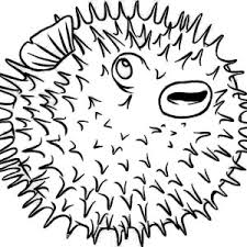Interestingly, only the color of the ticks is changing, but not that of the spine. Poisonous Spine Of Puffer Fish Coloring Page Kids Play Color