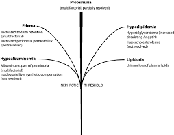 The Nephrotic Syndrome Tree Is Shown The Trunk Depicts Increasing Download Scientific Diagram