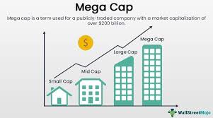 Or you may have read newspaper headlines referrin. Mega Cap Definition Stocks Examples Vs Large Cap