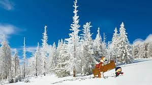 Hd Wallpaper Calvin And Hobbes Cartoon Trees Blue Winter Wallpaper Flare Winter is coming shirts are now in the store!!! calvin and hobbes cartoon trees blue