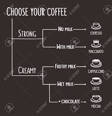 coffee types infographic illustration simple flow chart that