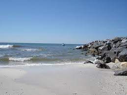 Panama city beach is a city in the panhandle of florida located within bay county. Tiere Landschaft Strand Und Meer St Andrews State Park Panama City Beach Reisebewertungen Tripadvisor