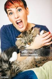 1,352 Cat Bite Stock Photos, High-Res Pictures, and Images