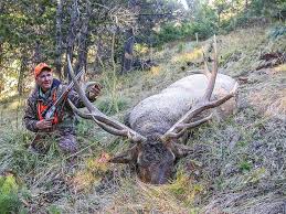 These cartridges are at the low end of the power scale as elk cartridges, due to their limited down range energy. Guns Magazine Best Elk Cartridge Guns Magazine