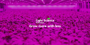The gavita pro was designed for commercial facilities, but can just as easily work in home grow setups. Light Science Technologies Linkedin