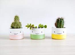 If you're a somewhat inexperienced gardener or don't think you have a green thumb, the directions provided on the package can walk you through how to. Cute Ceramic Planter With Smiling Face For Succulent Handmade Etsy Ceramic Flower Pots Small Potted Plants Ceramic Succulent Planter