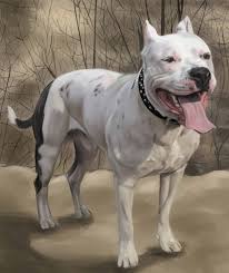 Amstaff Art Almost Looks Like Are Drawz American Staffordshire Terrier Dogs Dangerous Dogs