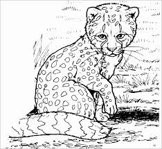 This animal is considered the fastest in the world. Realistic Baby Cheetah Coloring Page Coloringbay