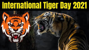 International tiger day 2021 (29th july) tigers are now one of the species that are almost nearing extinction. International Tiger Day 2021 International Tiger Day Theme 2021 Global Tiger Day 2021 Youtube