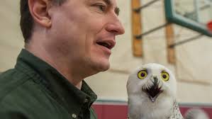 Predator and prey: Michigan falconers use birds to hunt