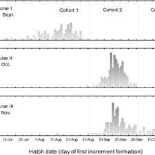 Pdf Impact Of Hatch Date On Early Life Growth And Survival Of Mueller S Pearlside Maurolicus Muelleri Larvae And Life History Consequences